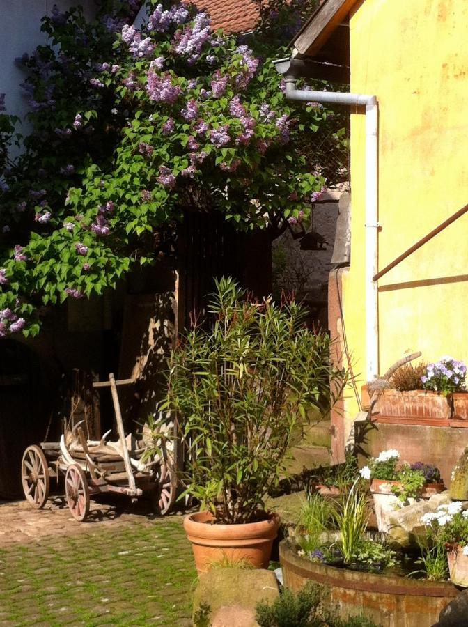 La Maison De Caroline Westhoffen Zewnętrze zdjęcie